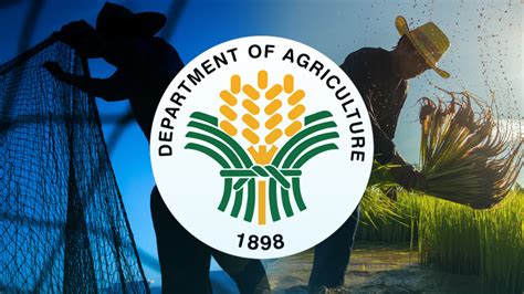 department of agriculture san fernando la union|DEPARTMENT OF AGRICULTURE REGIONAL FIELD OFFICE .